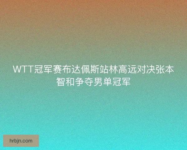 WTT冠军赛布达佩斯站林高远对决张本智和争夺男单冠军